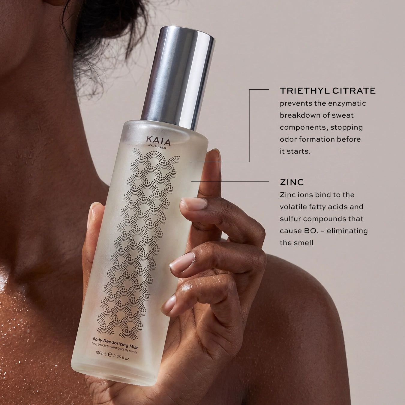 THE BODY REFRESH