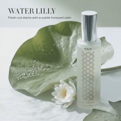 THE BODY REFRESH