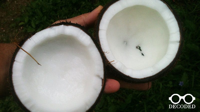 why coconut oil in natural deodorant is a problem